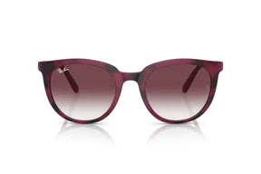 Ray-Ban Lentes de Sol RB4383L