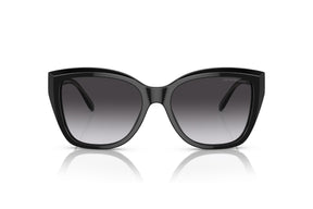 Emporio Armani Lentes de Sol Degradados EA4198