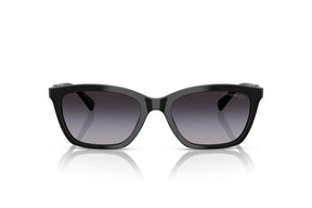 Emporio Armani Lentes de Sol Degradados EA4238