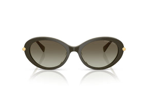 Michael Kors Lentes de Sol Rockaway Degradados MK2245U