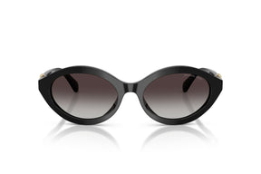 Michael Kors Lentes de Sol Carlazzo Degradados MK2257U