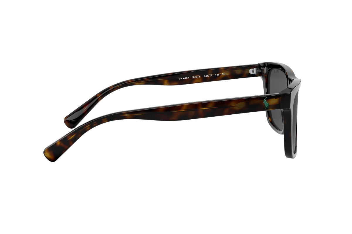 Lentes de Sol Shiny Dark Havana Polo