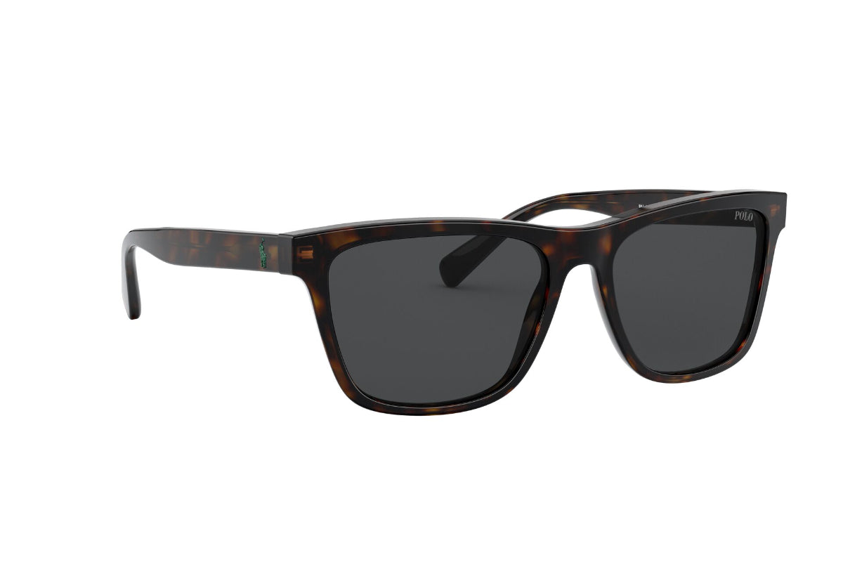 Lentes de Sol Shiny Dark Havana Polo