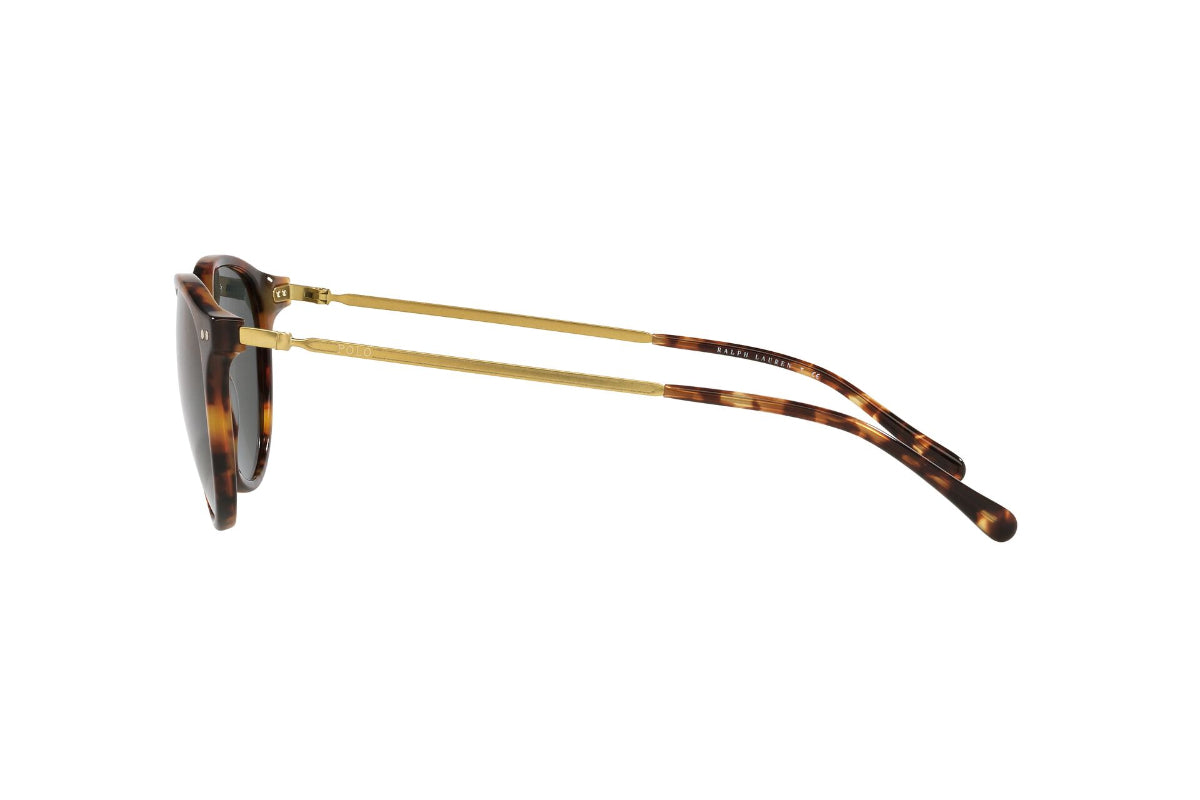 Lentes de Sol Shiny Jerry Tortoise Polo