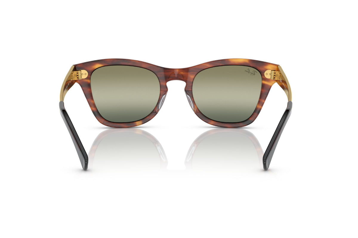Ray-Ban Lentes de Sol RB0707S