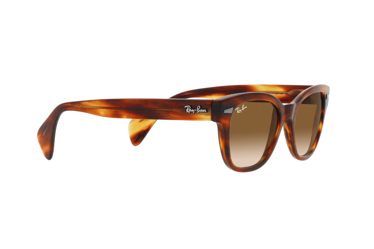 Ray-Ban Lentes de Sol RB0880S