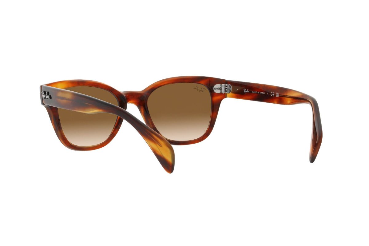 Ray-Ban Lentes de Sol RB0880S