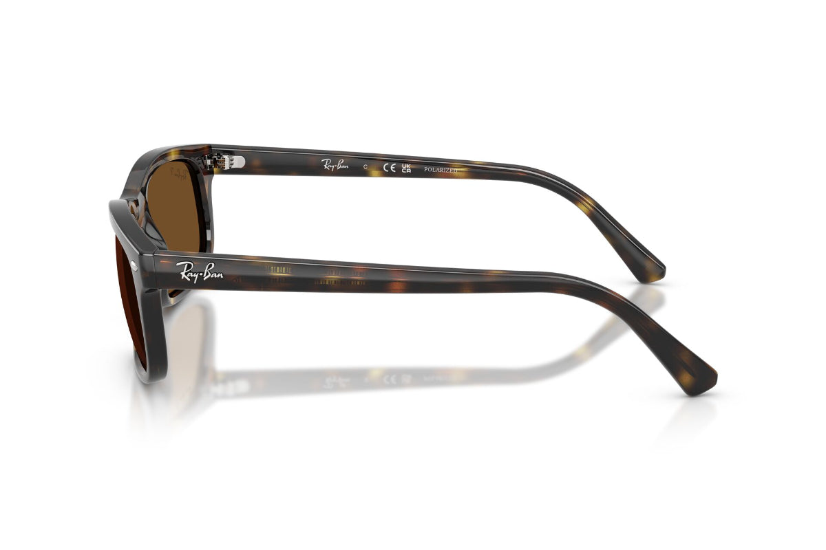 Ray-Ban Lentes de Sol Polarizados RB2224