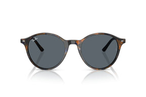 Ray-Ban Lentes de Sol RB2230