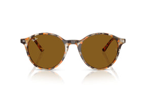 Ray-Ban Lentes de Sol RB2230