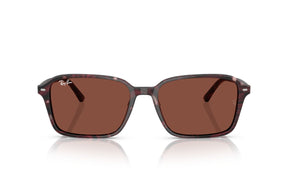 Ray-Ban Lentes de Sol Raimond RB2231
