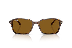 Ray-Ban Lentes de Sol Raimond RB2231