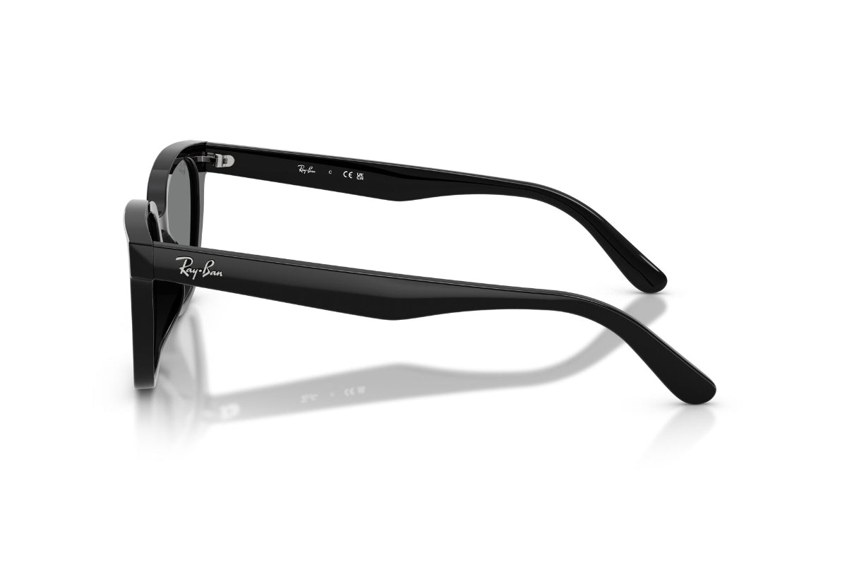 Ray-Ban Lentes de Sol RB2243D
