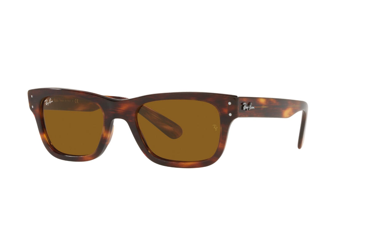 Ray-Ban Lentes de Sol Mr Burbank RB2283