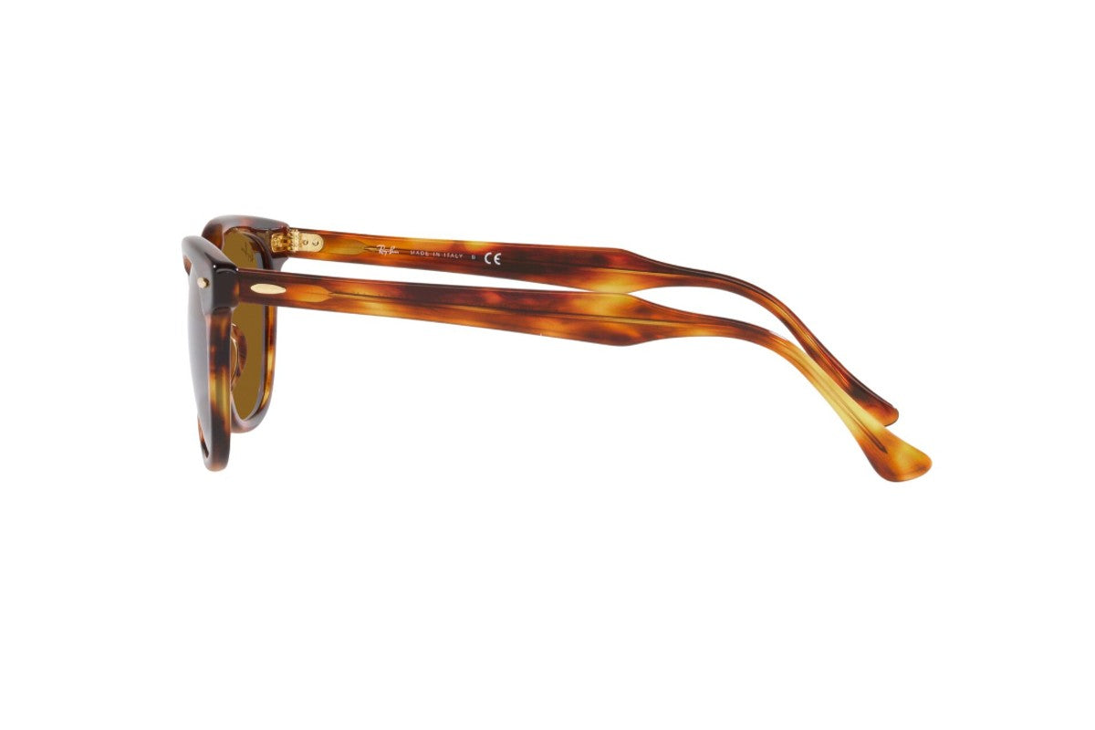 Ray-Ban Lentes de Sol Hawkeye RB2298