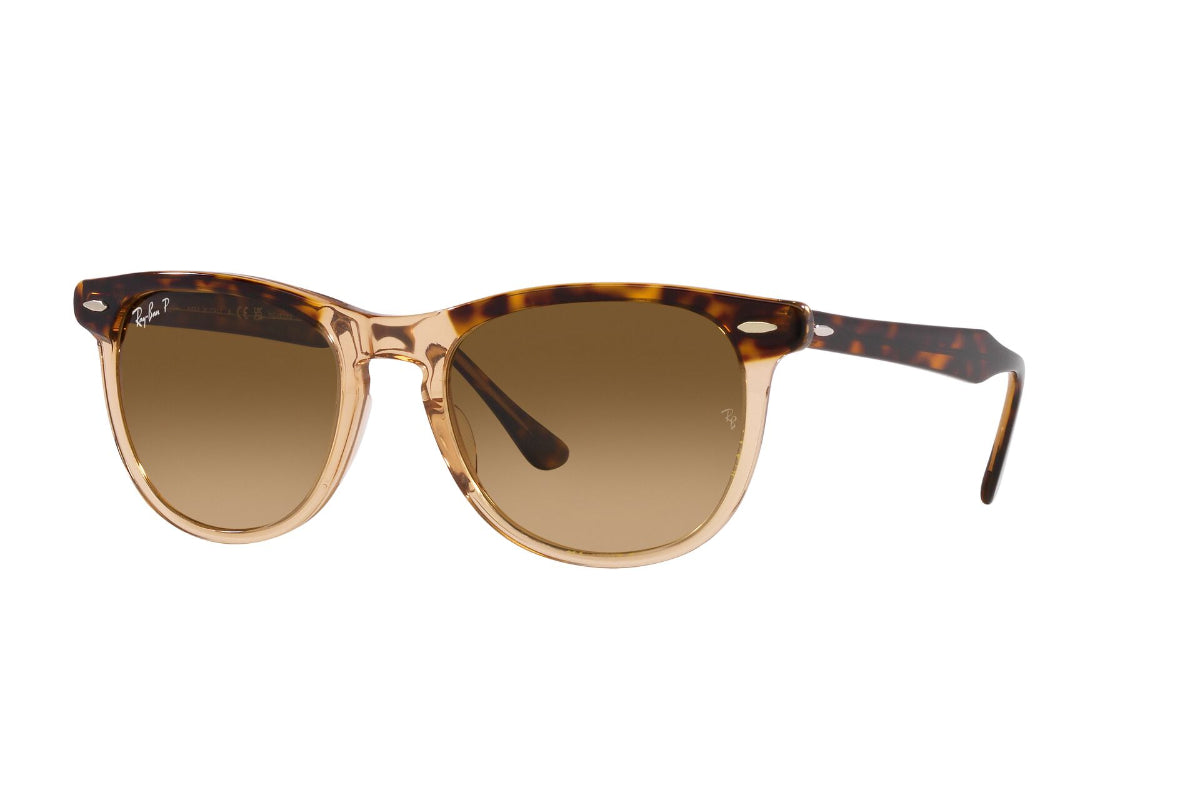 Ray-Ban Lentes de Sol Eagleeye Polarizados RB2398