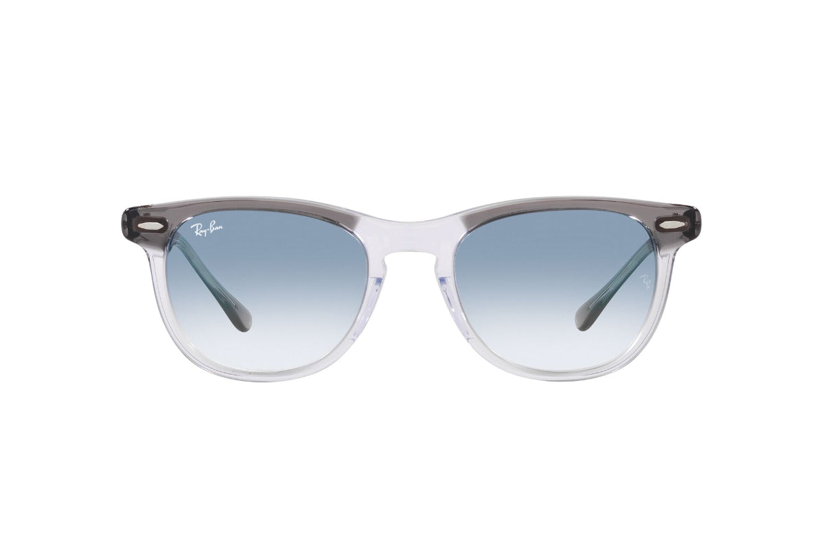 Ray-Ban Lentes de Sol Eagleeye RB2398