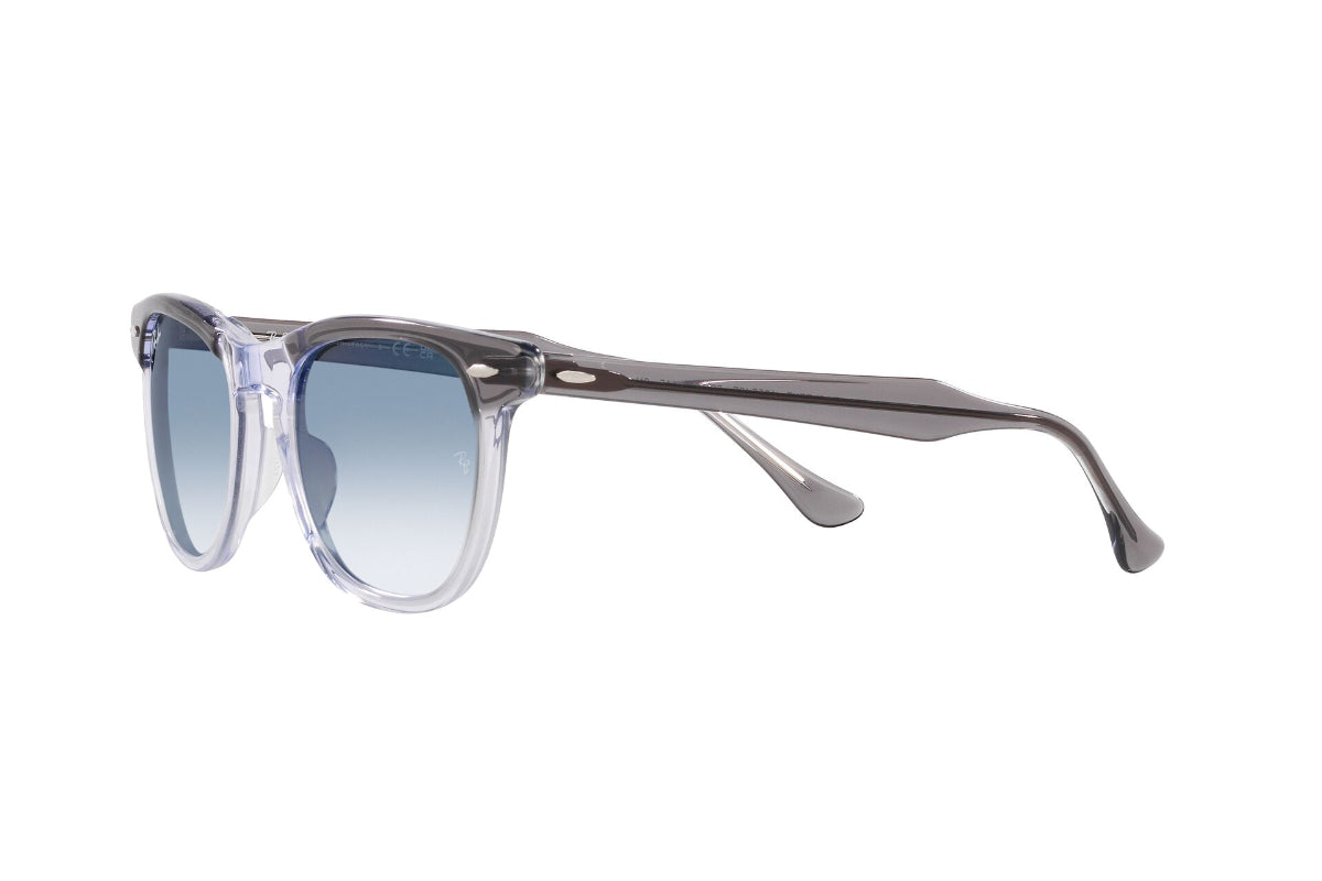 Ray-Ban Lentes de Sol Eagleeye RB2398