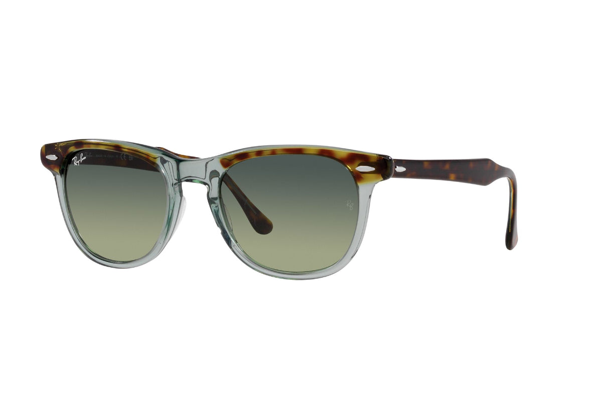 Ray-Ban Lentes de Sol Eagleeye RB2398
