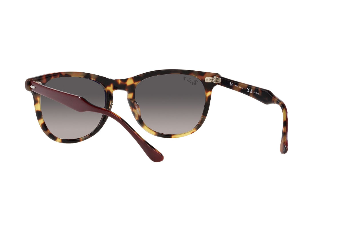 Ray-Ban Lentes de Sol Eagleeye Polarizados RB2398