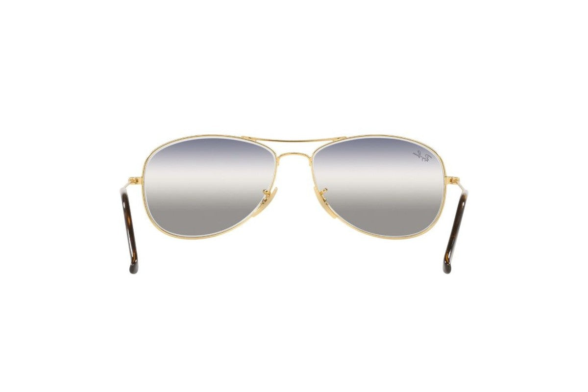 Ray-Ban Lentes de Sol Cockpit RB3362