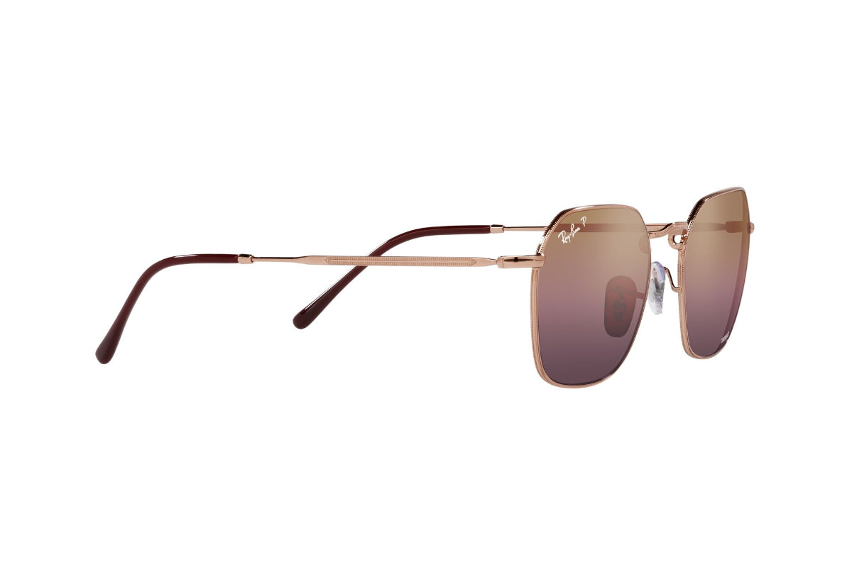 Ray-Ban Lentes de Sol Jim Polarizados RB3694