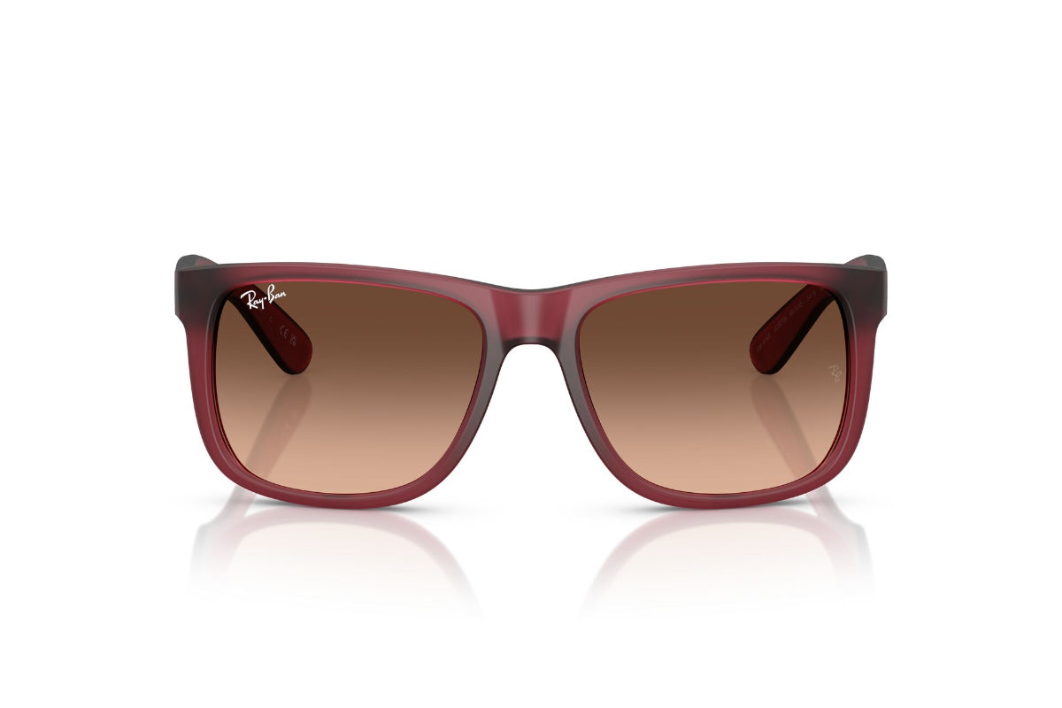 Ray-Ban Lentes de Sol Justin RB4165