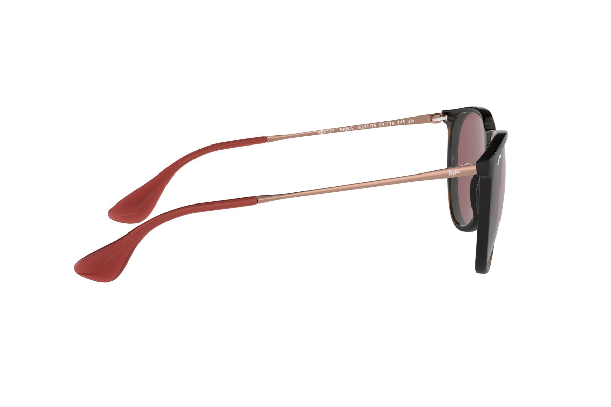 Lentes de Sol Erika Havana Dark Violet Ray-Ban