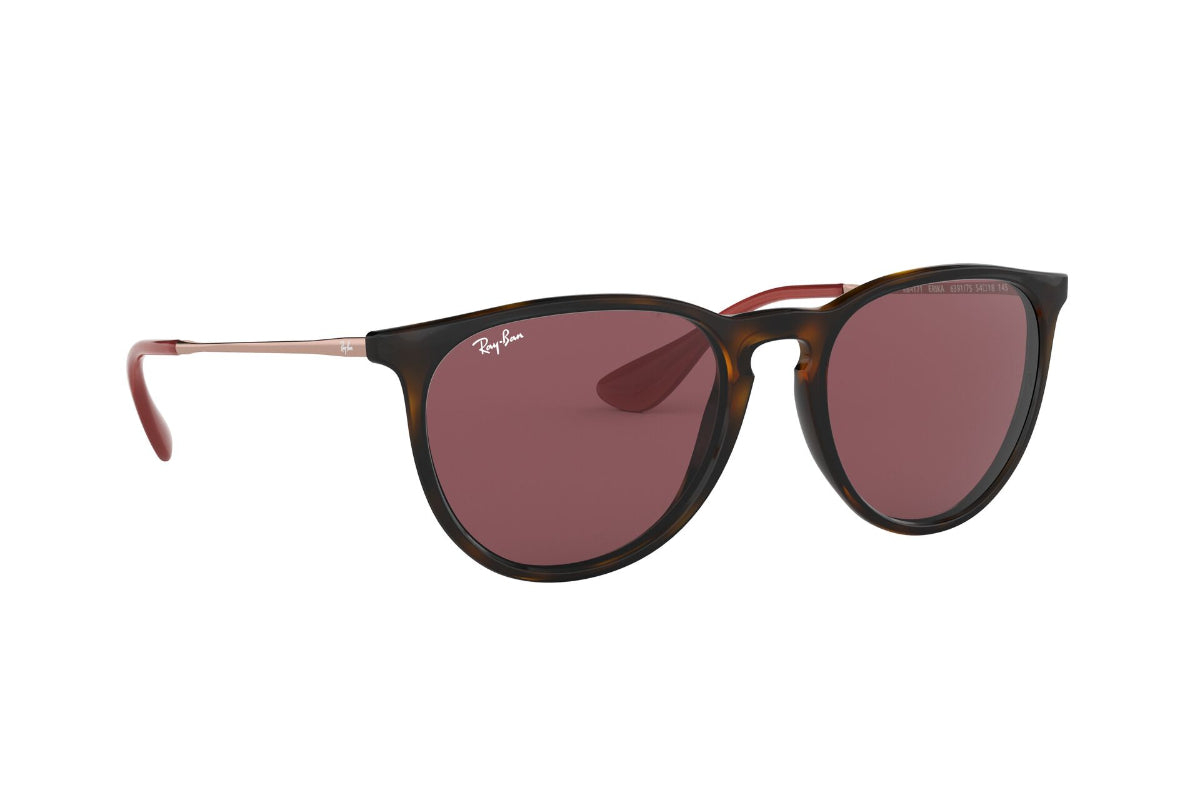 Lentes de Sol Erika Havana Dark Violet Ray-Ban