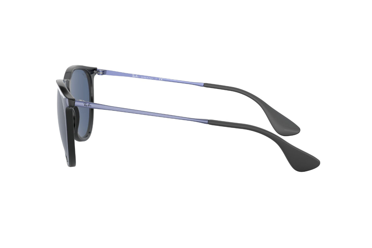 Lentes de Sol Erika Metallic Violet On Black Ray-Ban