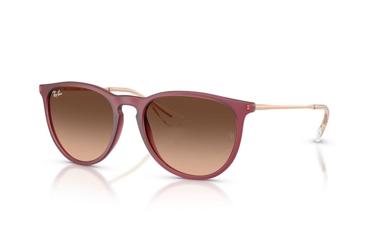 Ray-Ban Lentes de Sol Erika Degradados RB4171
