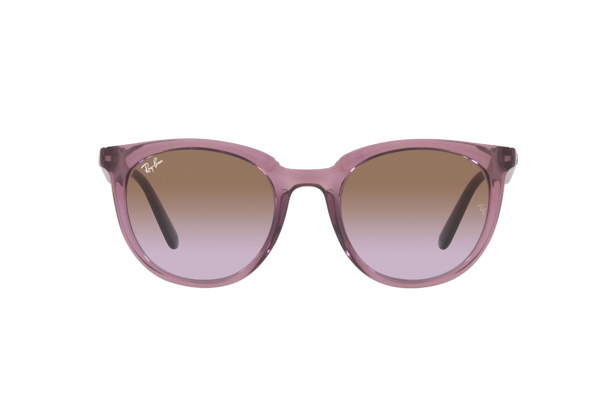Ray-Ban Lentes de Sol RB4383L