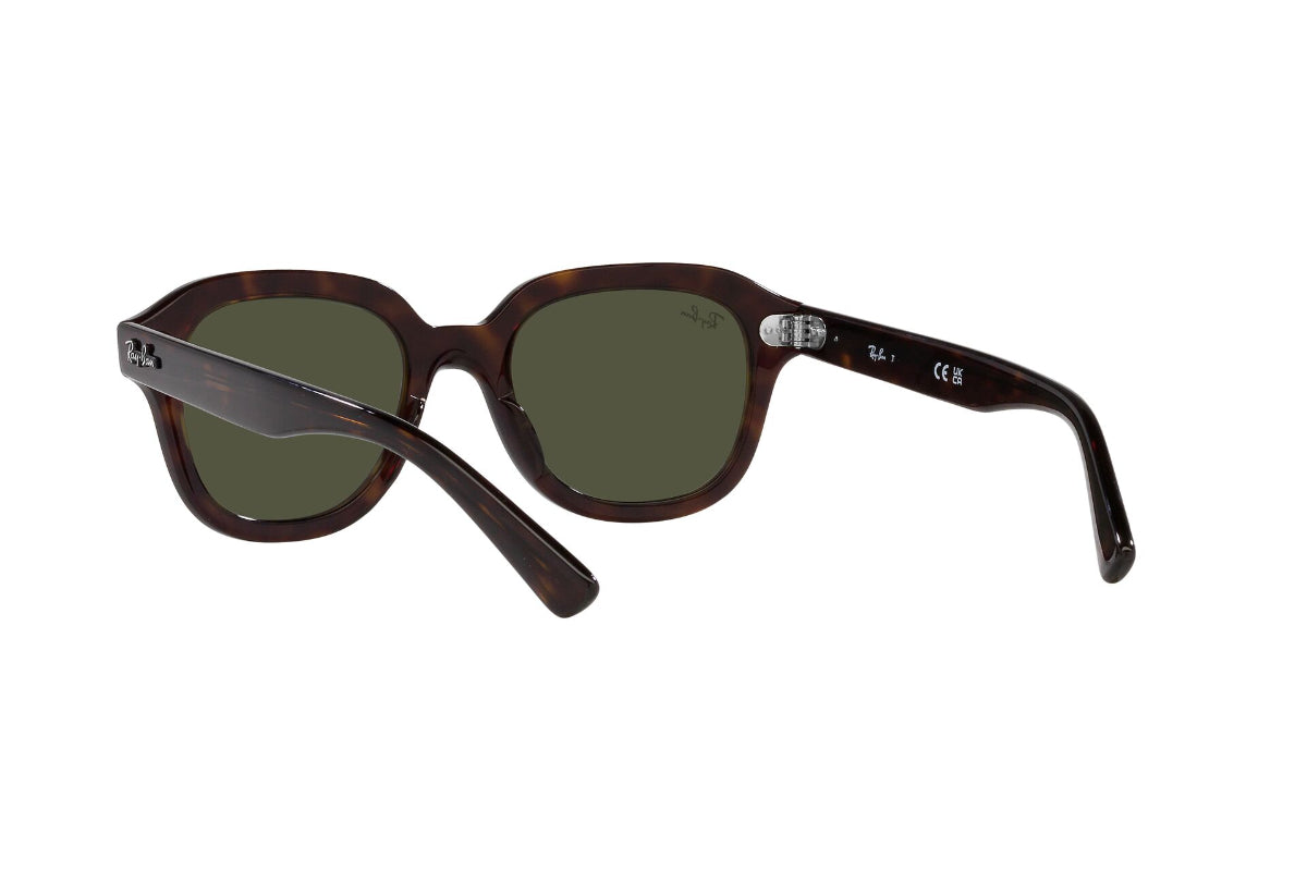 Ray-Ban Lentes de Sol Erik RB4398