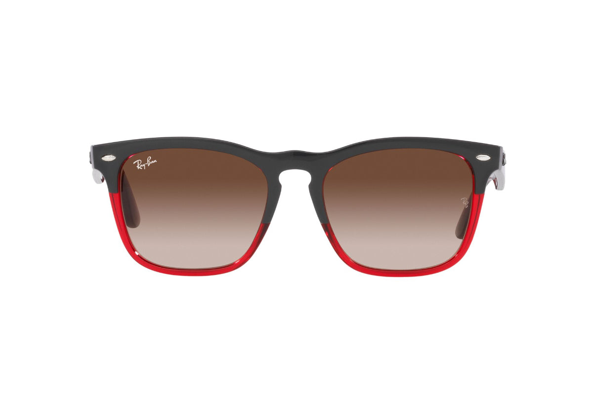 Ray-Ban Lentes de Sol Steve RB4487