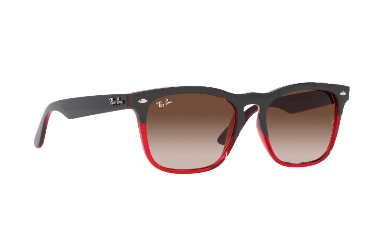 Ray-Ban Lentes de Sol Steve RB4487