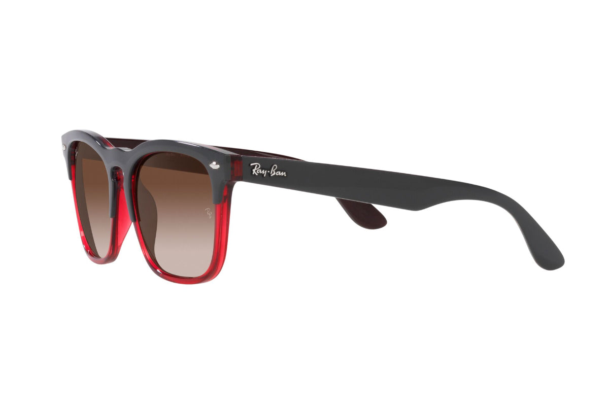 Ray-Ban Lentes de Sol Steve RB4487
