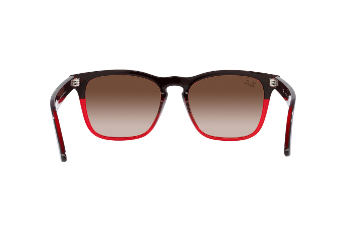 Ray-Ban Lentes de Sol Steve RB4487