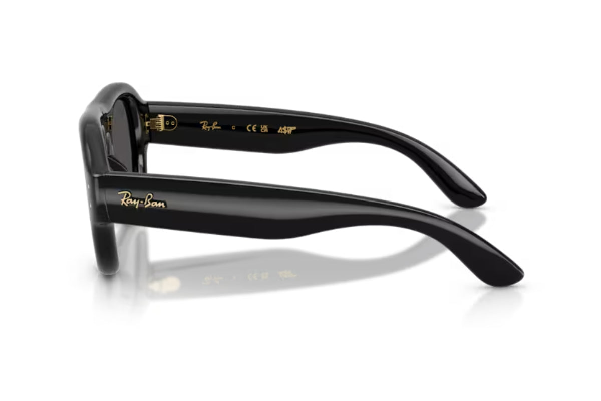 Ray-Ban Lentes de Sol RB4925