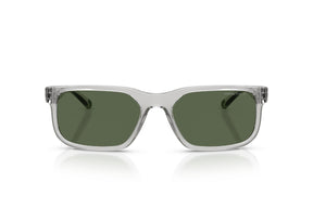 Arnette Lentes de Sol Polarizados AN4372