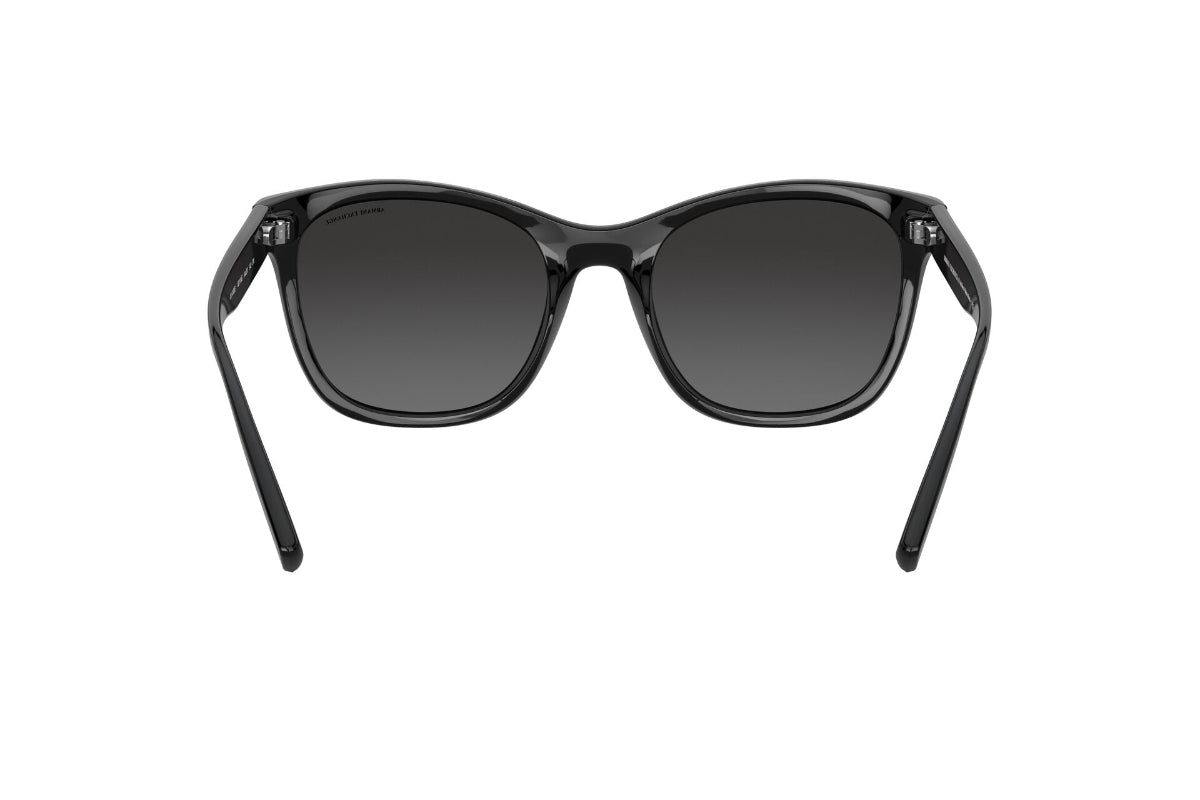Lentes de Sol Shiny Black Armani Exchange