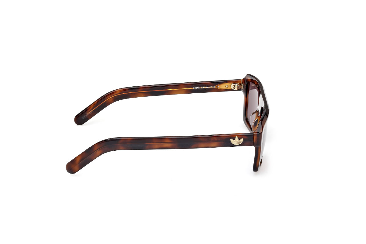Adidas Originals Lentes de Sol