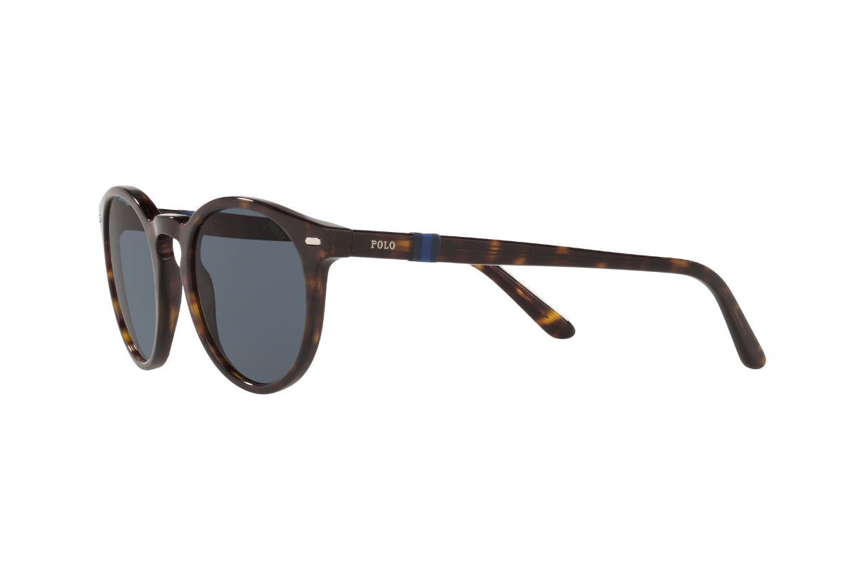 Lentes de Sol Shiny Dark Havana Polo