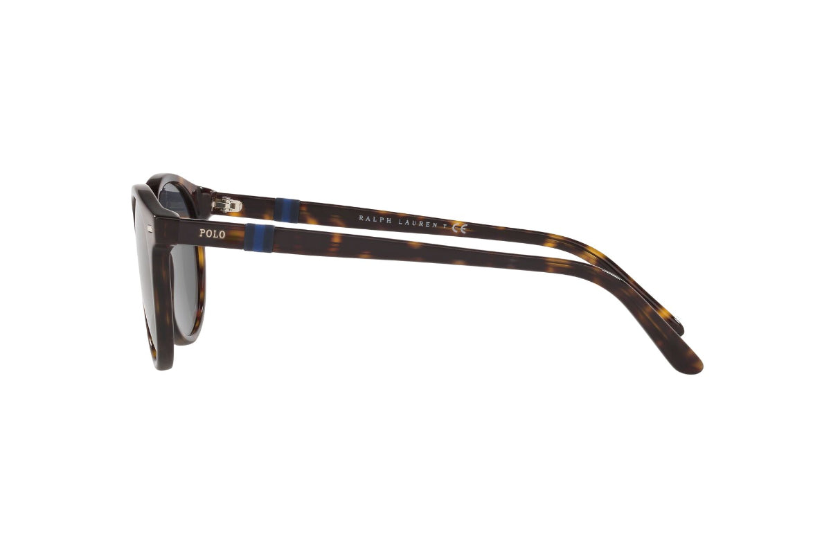 Lentes de Sol Shiny Dark Havana Polo