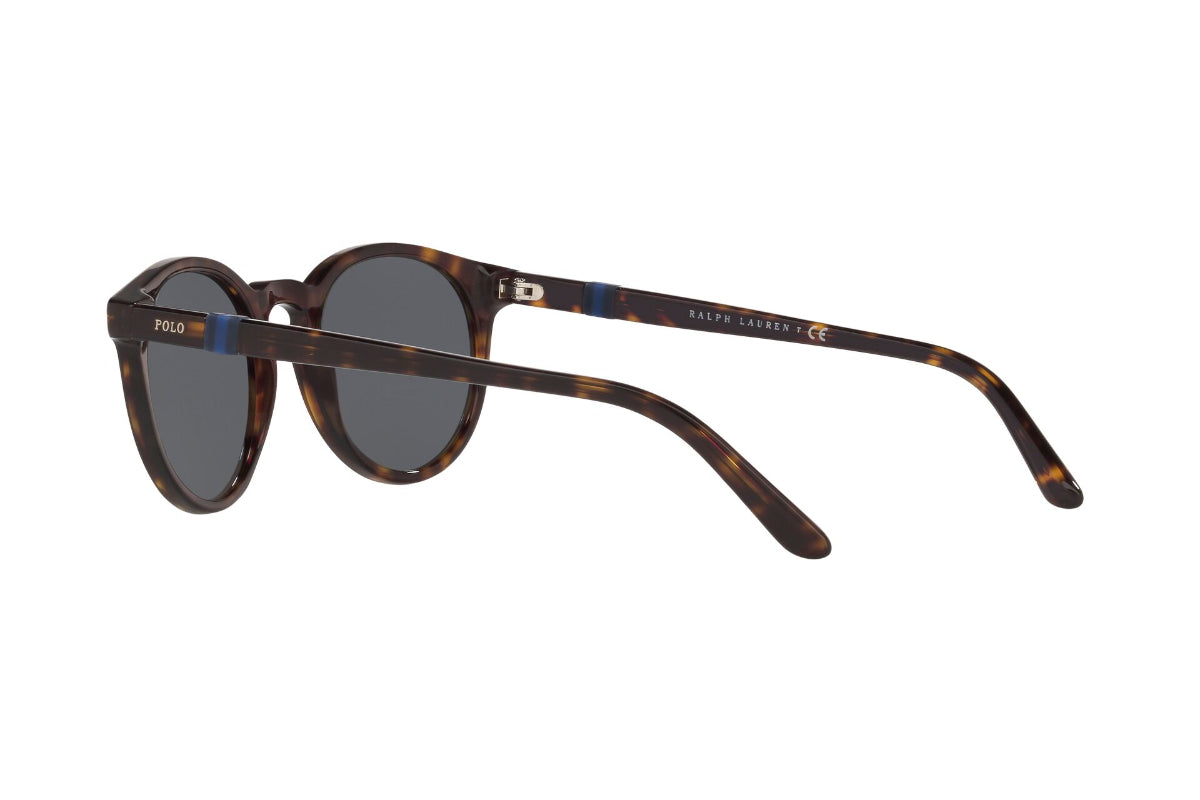 Lentes de Sol Shiny Dark Havana Polo