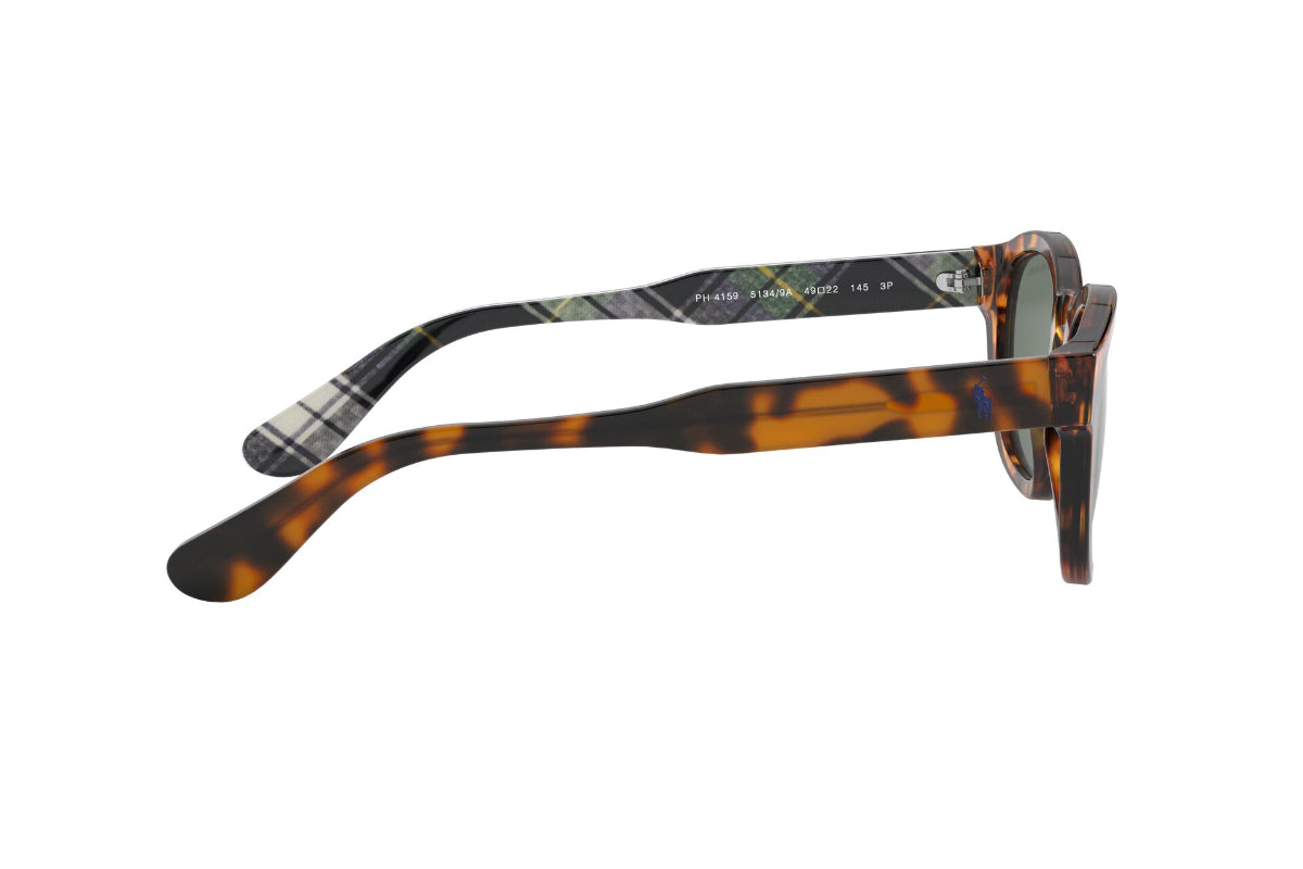 Lentes de Sol Shiny Antique Tortoise Polarizados Polo