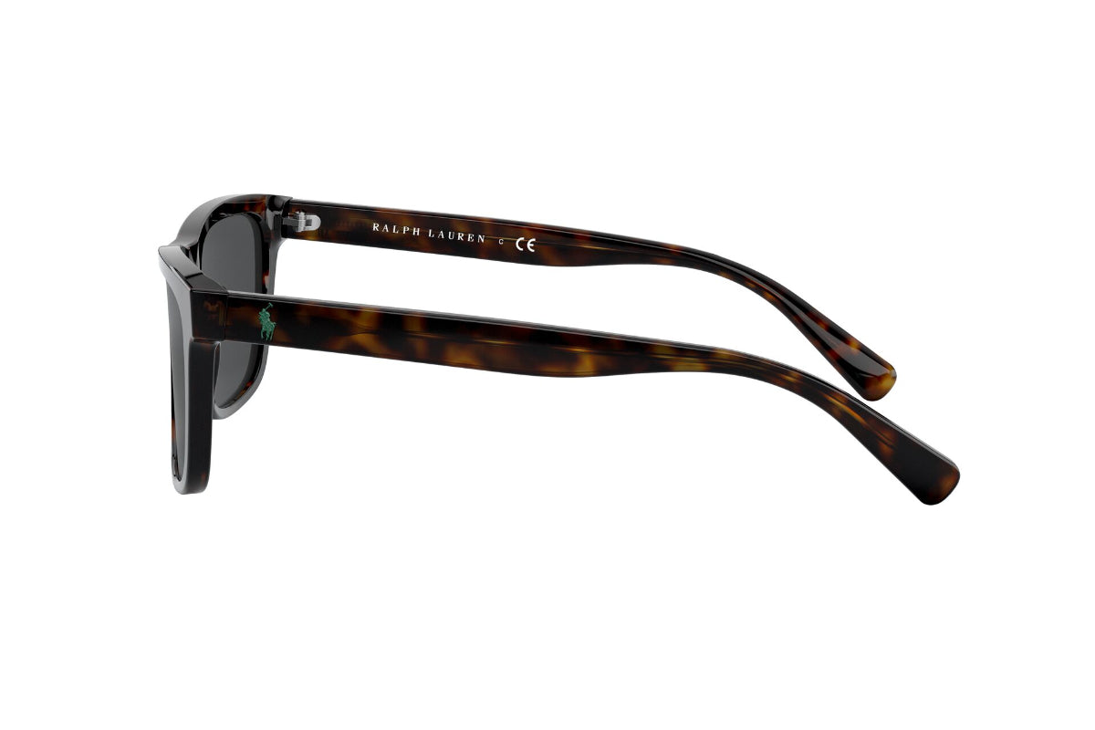 Lentes de Sol Shiny Dark Havana  Polo