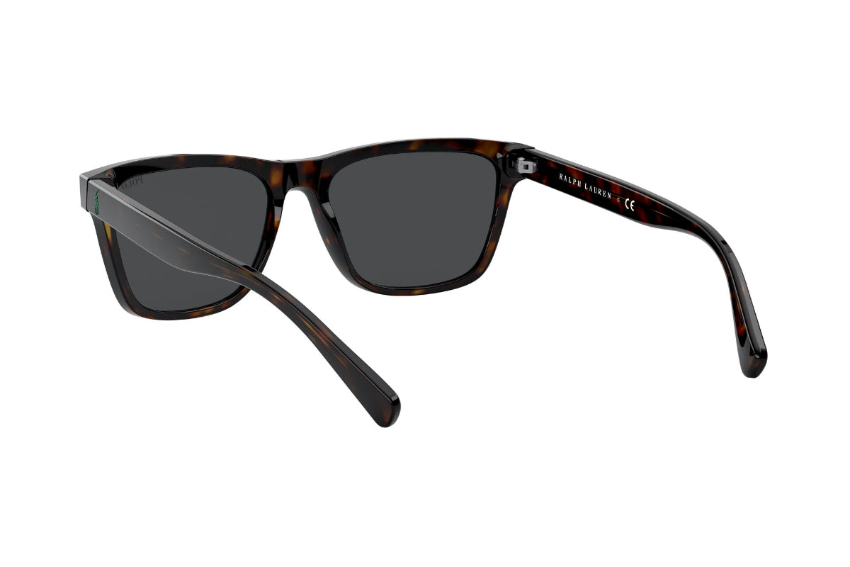 Lentes de Sol Shiny Dark Havana  Polo