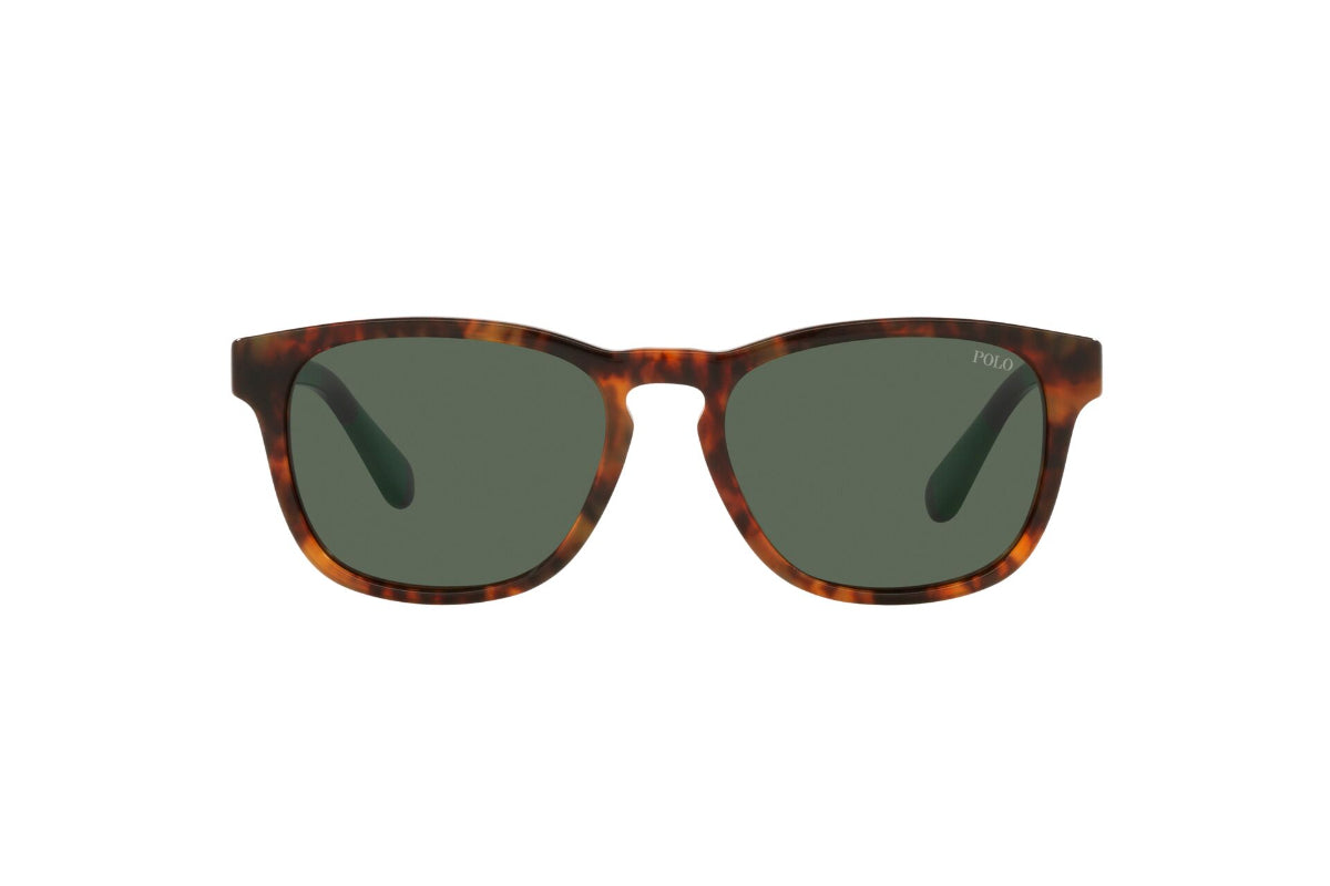 Lentes de Sol Shiny Jerry Tortoise Polo Ralph Lauren