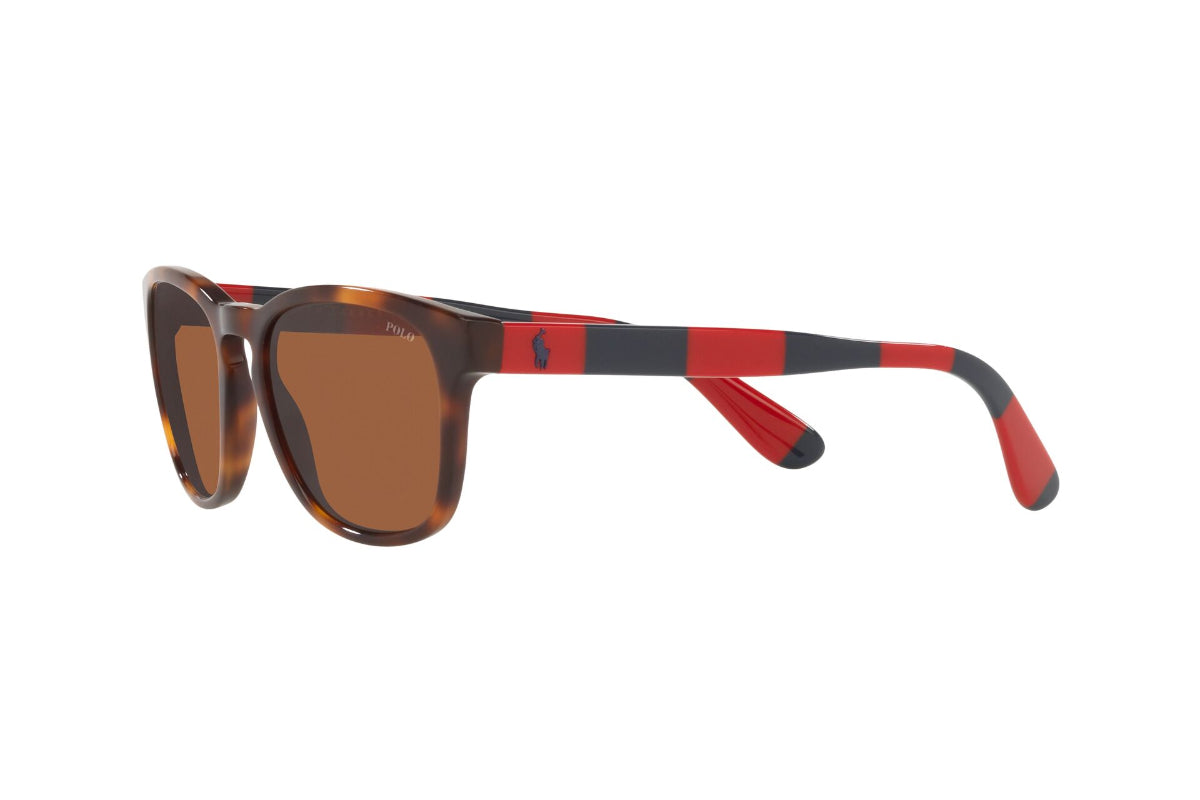 Lentes de Sol Shiny Tortoise Polo Ralph Lauren