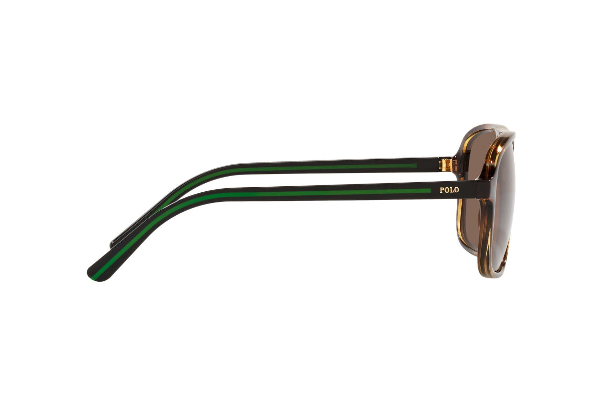 Lentes de Sol Shiny Havana Polo Ralph Lauren